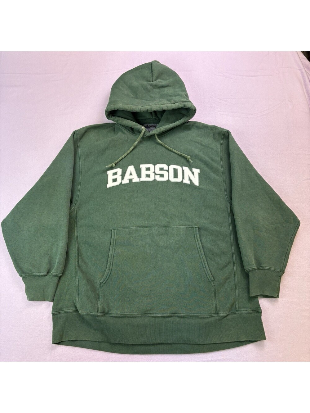 Vintage Champion Babson College Beavers Pullover Hoodie Size Large Green